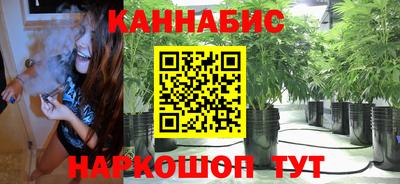 spice Чапаевск