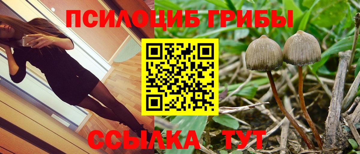 закладка  Вход с VPN  Хабаровск  Псилоцибиновые грибы Magic Shrooms 